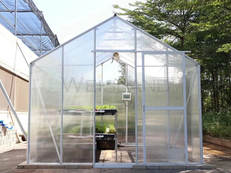 Polycarbonate Greenhouse in Summer_800x600
