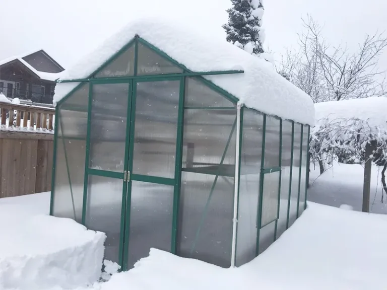 polycarbonate greenhouse in winter_800x600